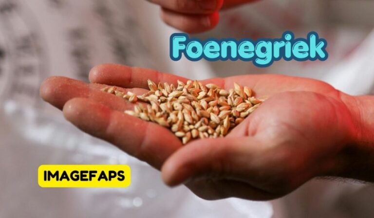 Foenegriek natural wellness ingredient with herbal seeds, healthy lifestyle, organic nutrition, traditional remedies, plant-based wellness culture, natural beauty care, and modern healthy living concepts